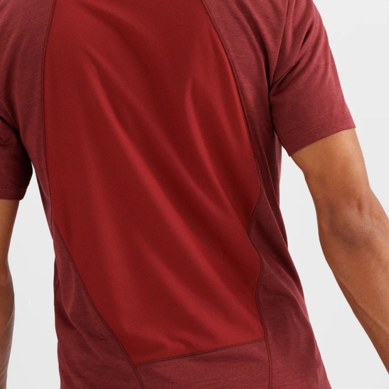 Dark Red / Navy Salomon Outline Short Sleeve Men's T-Shirts | IE PG8405